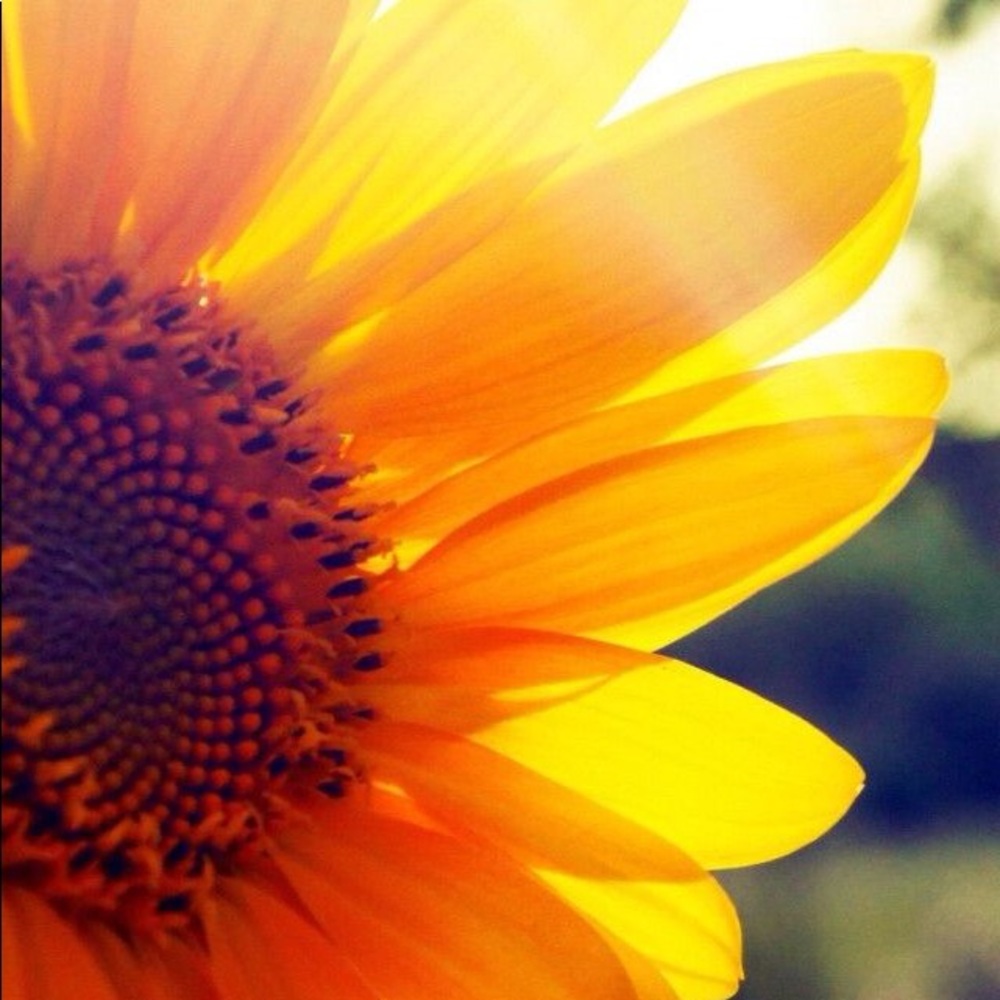 Meet your Posher, Becky